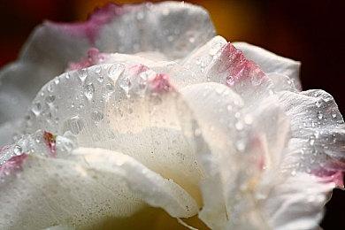 科幻FPS游戏《INDUSTRIA 2》新演示 画面很出色